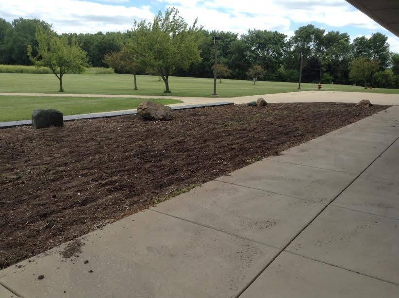 Clean up of the area before planting the garden, Summer 2016