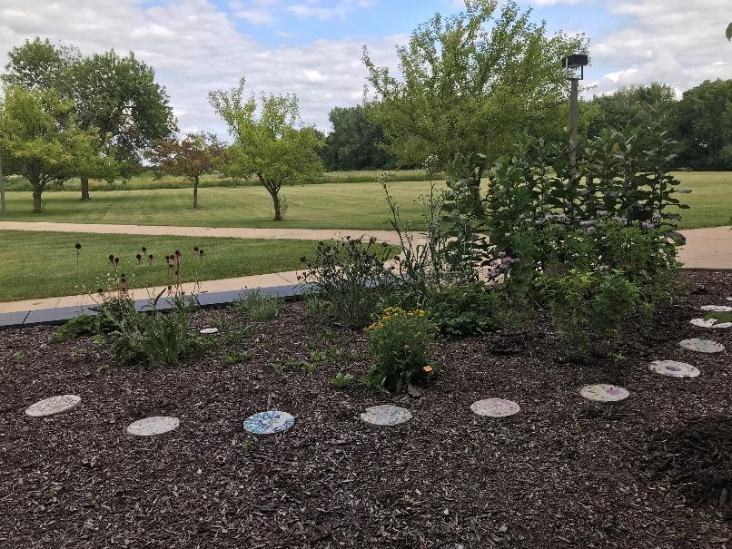 First plants from the Kellers, Summer 2017