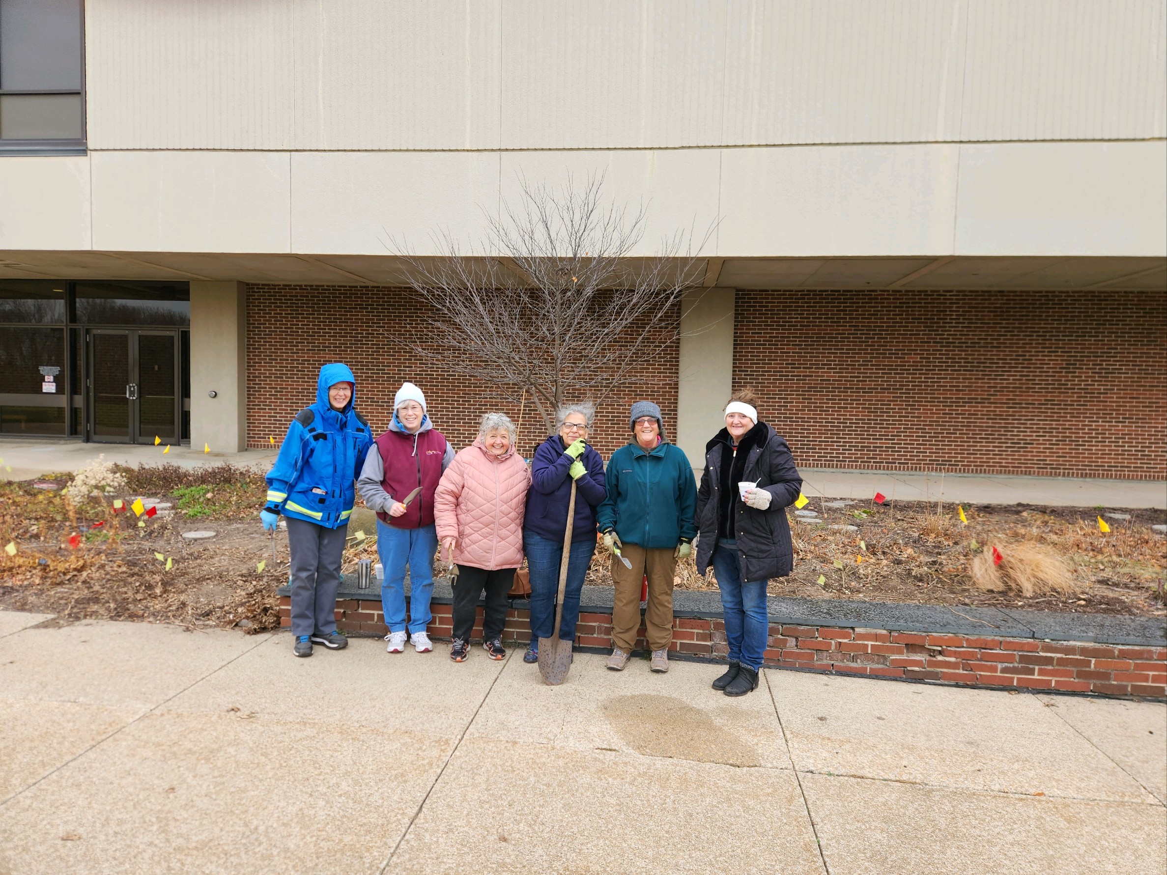 Master Gardeners planting bulbs, Nov 2023
