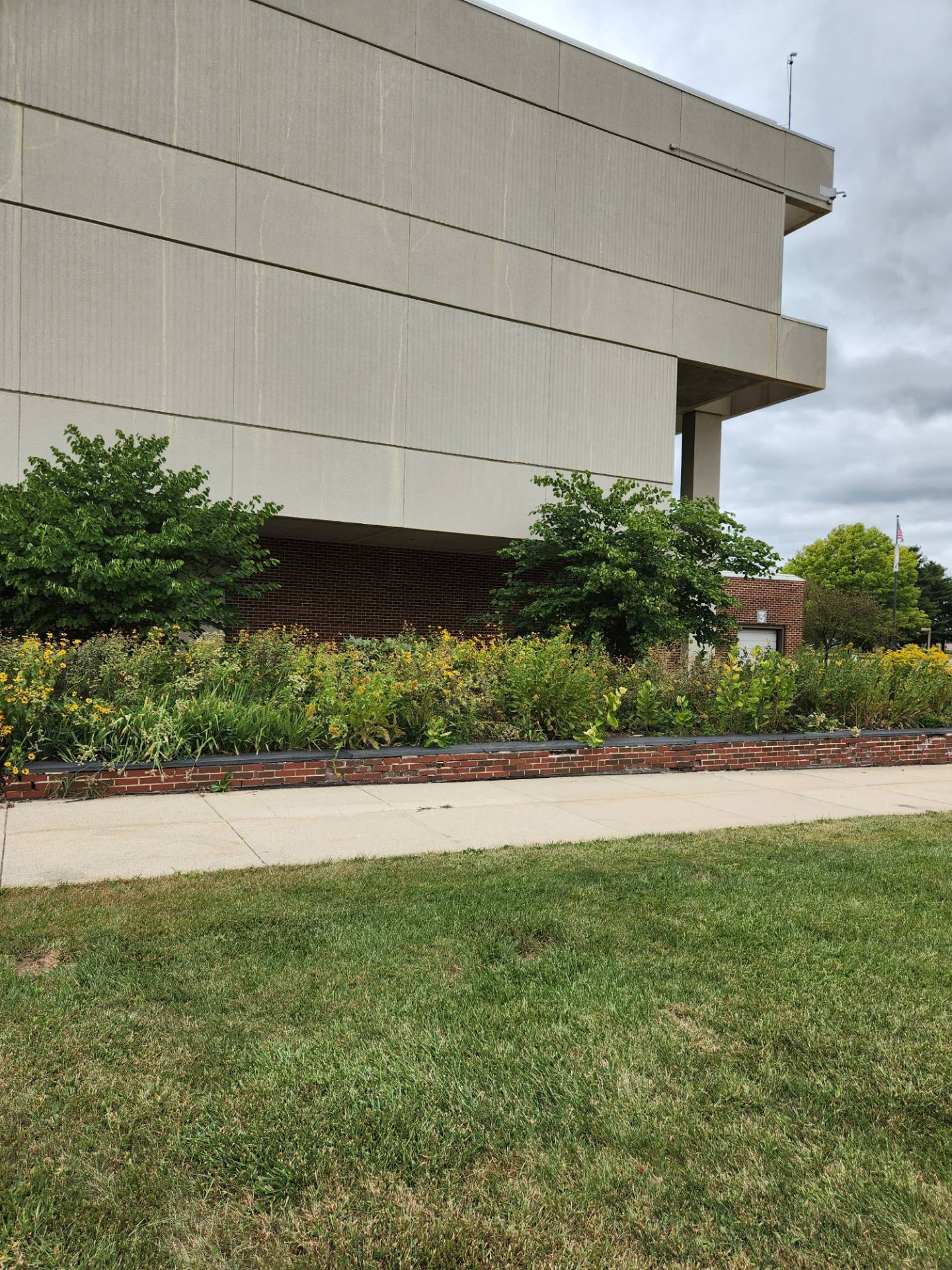 East Garden, September 2023