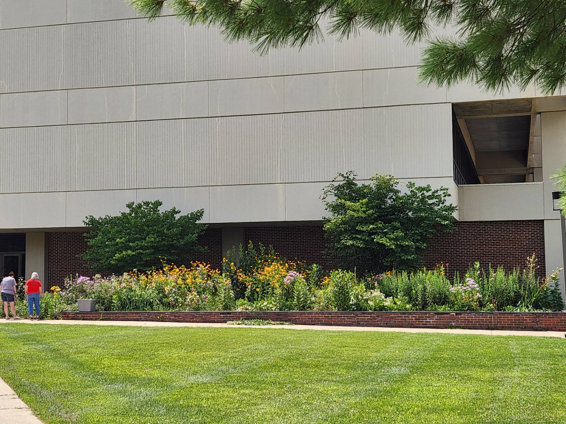 Workday with Master Gardeners, July 2024
