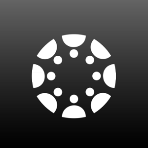 Canvas Icon