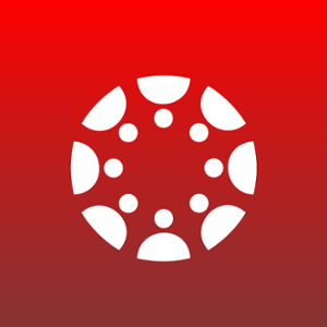 Canvas Icon