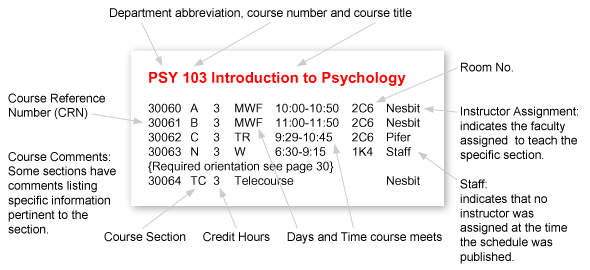 book the structure biosynthesis and