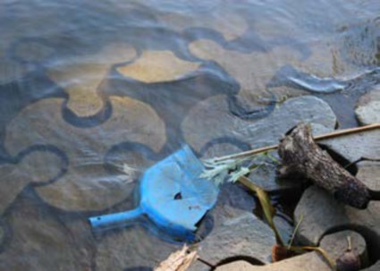 Garbage in the rock river