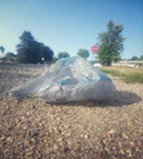 A Walmart shopping bag lies on the ground waiting to be picked up