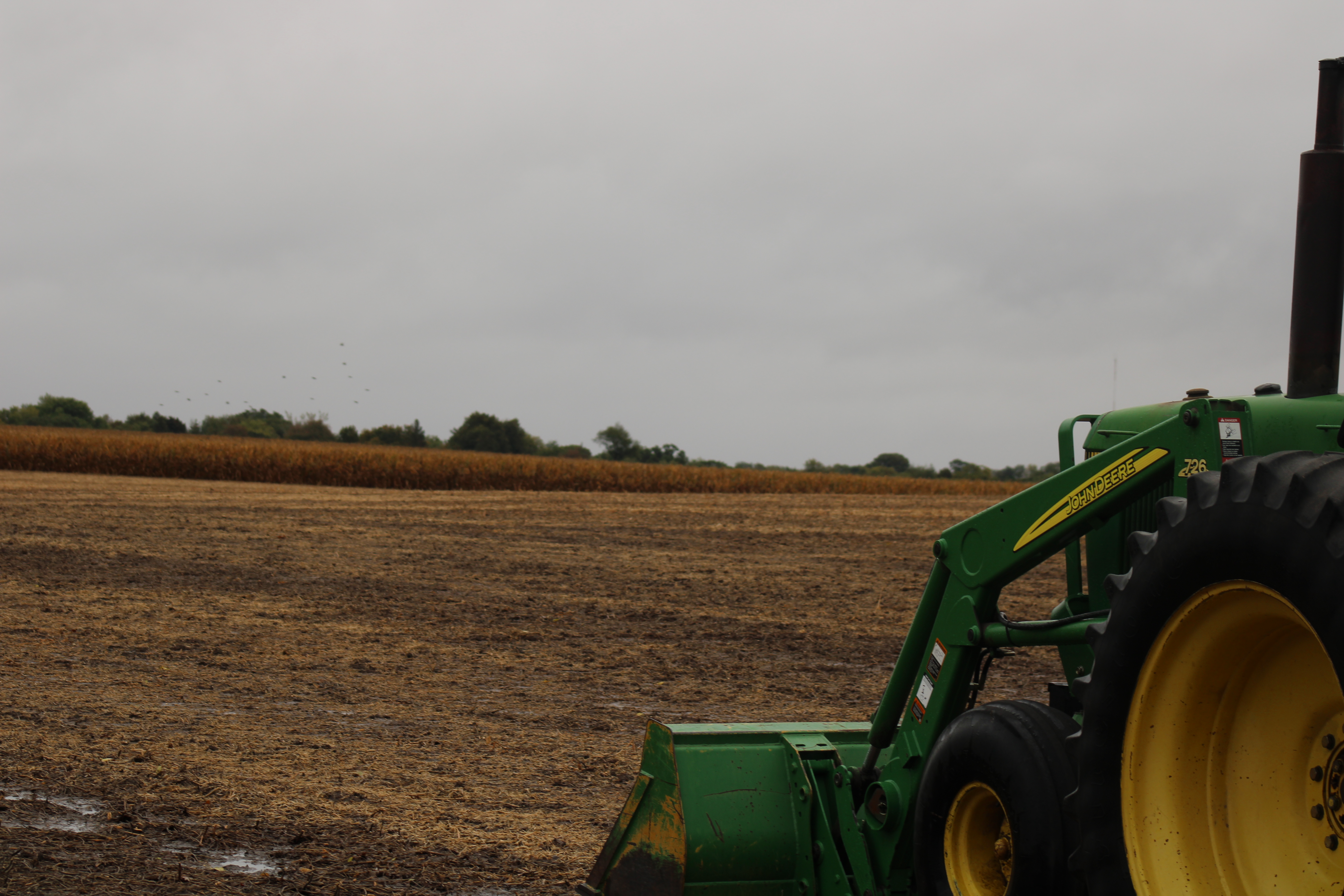 El Nino is expected continue with its effects on the U.S.