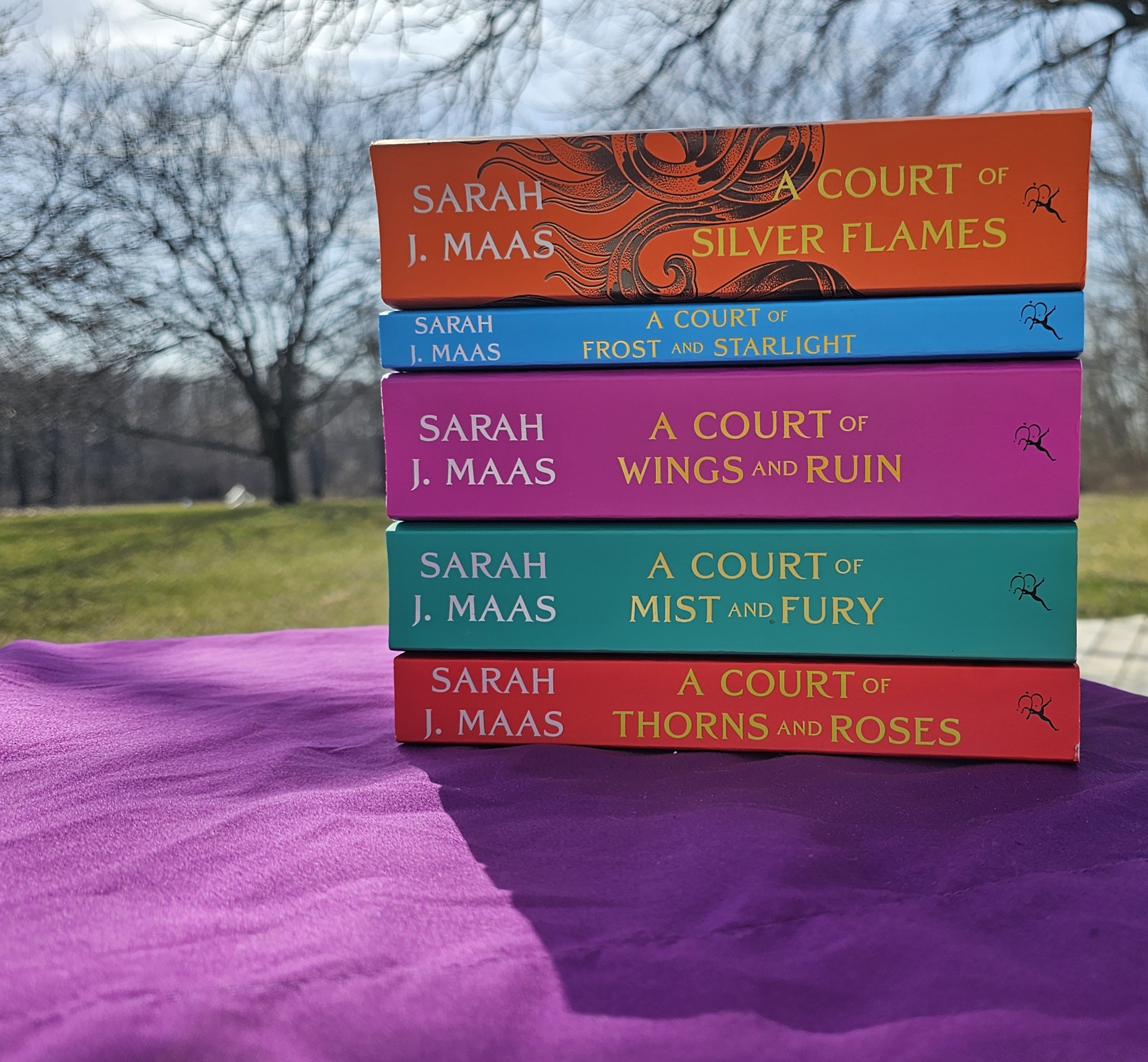 Stack of Sarah J. Maas books